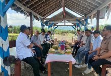 Potensi Giling PG Glenmore Tahun Ini Luar Biasa