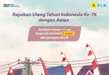 Catat Tips Listrik PLN Tetap Aman Saat Rayakan Kemeriahan HUT RI 79