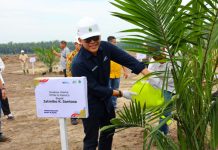Target 60.000 Ha Peremajaan, Ini Cara PalmCo Gandeng Petani Sawit Indonesia