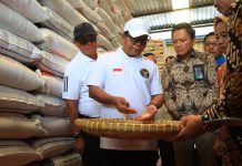 Pj. Gubernur Tinjau Ketersediaan Stok Beras Aman di Gudang Bulog Liwa