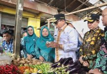 Pj. Gubernur Lampung Tinjau Stabilitas Harga Bahan Pokok di Pasar Gading Rejo