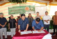 PTPN IV Regional 7 Dukung Peremajaan Sawit Rakyat