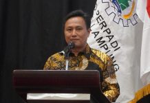 Midi Iswanto Kembali Jabat Ketua Perpadi Lampung