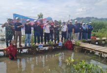 PTPN I Regional 7 Tanam 1.000 Mangrove di Teluk Pandan