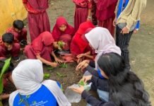 Mahasiswa KKN UNILA 2025 Tanam Apotek Hidup di SDN Pamulihan