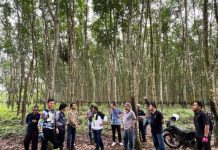 Region Head PTPN I Reg.7 Ingatkan Detail Teknis Penggalian Produksi