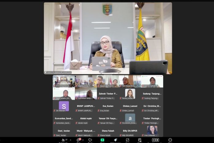 Wakil Gubernur Lampung Jihan