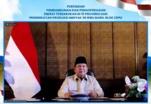 Diresmikan Presiden, 5.383 Rumah Tangga di Wilayah 3T Kini Nikmati Listrik Bersih