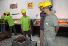 Komoditi Karet PTPN I Masih Sangat Prospektif