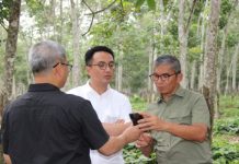 Trend Positif Harga Karet Dunia, PTPN I Siapkan Strategi untuk Raih Laba Optimal