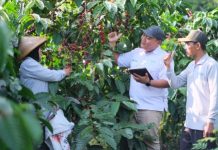 PTPN I Hadir, Ekonomi Wilayah Cair