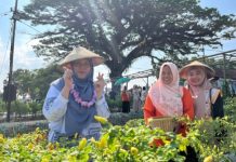 Kebun Kedaton Wakili Regional 7 di Lomba Kebersihan Lingkungan Tingkat Subholding