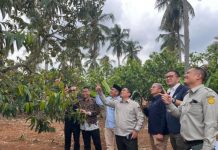 PTPN I Regional 7 Siap Laksanakan Program Hilirisasi Perkebunan