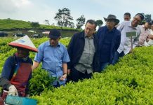 Dekom PTPN III: “Optimalkan Teknologi untuk Kejar Produksi!”