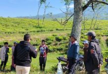 PTPN I Kukuhkan Pekerja Cisaruni Sebagai ‘Pahlawan Produksi’ Ketahanan Pangan