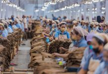 PTPN I Segera Ubah Struktur Bisnis