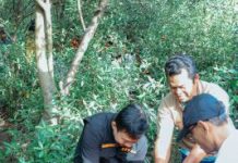 Pemprov Lampung bersama Pemkot Bandarlampung Gelar Gerakan Bersih-Bersih Serentak di Pulau Pasaran