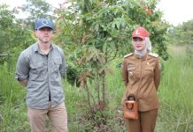 Pemprov Lampung Buka Peluang Kerja Sama Investasi Hijau untuk Perdagangan Karbon