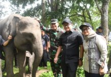 DPRD Apresiasi TNWK Lampung Timur Jadi Percontohan Nasional