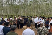 PTPN I Akselerasi Produksi Karet Melalui Standarisasi Operasional Regional