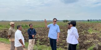 PTPN Siapkan 10.000 Ha Lahan Bioetanol untuk Budidaya Singkong di Lampung dan Sumsel