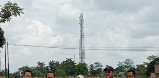 BULOG Lampung Serap 369 Ribu Ton Gabah, Perkuat Cadangan Beras Nasional