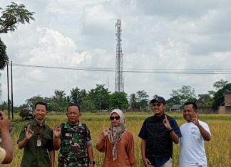 BULOG Lampung Serap 369 Ribu Ton Gabah, Perkuat Cadangan Beras Nasional