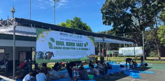 Berbagi di Idul Adha, PTPN I & PTPN IV Regional 7 Sembelih 6 Sapi dan 12 Kambing Qurban
