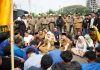 Demo PMII Lampung, Jihan Nurlela dan Marindo Janji Tindak Lanjuti Aspirasi Mahasiswa