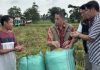 BULOG Serap 3 Juta Ton Gabah dan Beras Petani, Lampung Sumbang 400 Ribu Ton