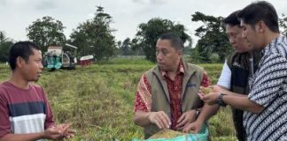 BULOG Serap 3 Juta Ton Gabah dan Beras Petani, Lampung Sumbang 400 Ribu Ton