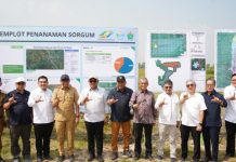 PTPN I (Persero) Paling Siap Dukung Ketahanan Energi