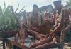 Mirza Tinjau Penerapan PHC di Lamtim, Dorong Produktivitas dan Kesejahteraan Petani