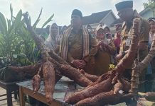 Mirza Tinjau Penerapan PHC di Lamtim, Dorong Produktivitas dan Kesejahteraan Petani