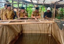 PHC Tak Hanya Suburkan Tanaman, Uji Coba pada Budidaya Lele Tunjukkan Hasil Positif