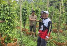 Heni Susilo: Pasar Karbon Harus Jadi Peluang Investasi Hijau dan Lindungi Pekerja Rentan PHK