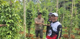 Heni Susilo: Pasar Karbon Harus Jadi Peluang Investasi Hijau dan Lindungi Pekerja Rentan PHK