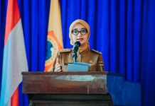HUT Ke-64 PWRI, Wagub Jihan Ajak Purna Tugas Terus Berkontribusi untuk Lampung