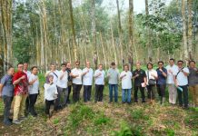 Sinergi Strategis, Tim PTPN III Tinjau Operasional 4 Kebun PTPN I Regional 7