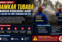 Damkar Tubaba Sigap Padamkan Kebakaran Lahan di Jalan Tol Way Kenanga KM 203