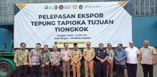 Triwulan III 2026, Penerimaan Bea Cukai Sumbagbar Tembus Rp2,79 Triliun